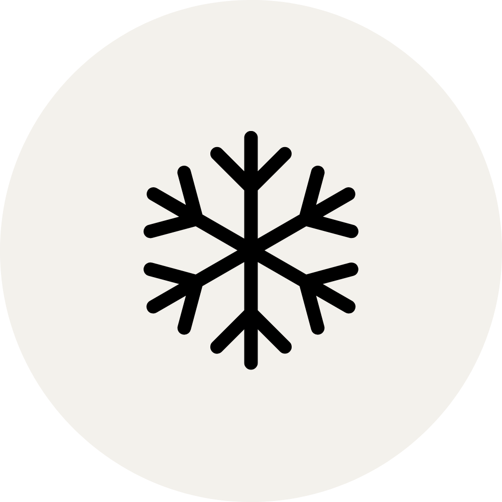 Snowflake icon inside a light gray circle.